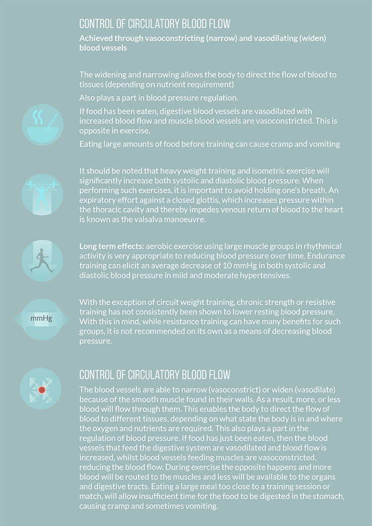 cultfit blood pressure infographic