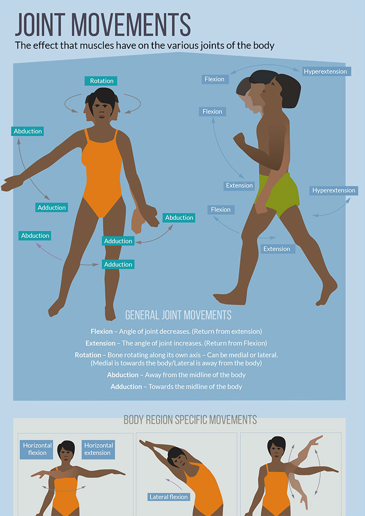 cultfit joint movements infograhic